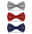bow tie 03 vector image
