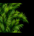 tropical palm leaves seamless pattern border vector image