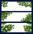 christmas tree and pine branches with copy space vector image vector image