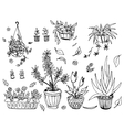 pot plants set hand-drawn design elements vector image