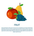 fruit poster with ripe apple yellow pear and grape vector image