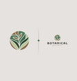 leaf plant flower monoline logo universal vector image vector image