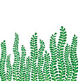 border frame branch leaves design for holiday vector image