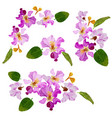 watercolor purple queens flower bouquet wreath vector image