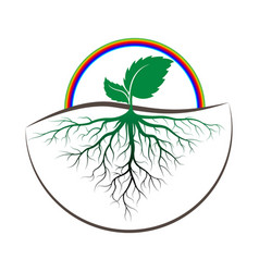 sprout tree with root vector image vector image