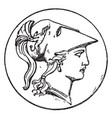 right minerva head vintage vector image vector image