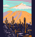 saguaro cactus with wasson peak in tucson vector image vector image