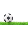 soccer ball grass background vector image vector image