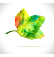 watercolor color leaf design element vector image vector image