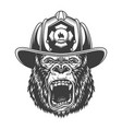 angry gorilla in monochrome style vector image vector image