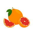 icon grapefruit set with whole fruit slice vector image
