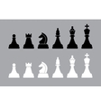 chess pieces vector image