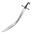 fantasy saber vector image vector image