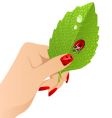 females hand with leaf vector image vector image