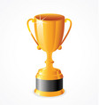 tall gold shiny trophy cup vector image