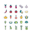 vegetable veggies thin line and color icon set vector image