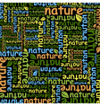 nature vector image vector image