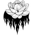 lotus flower outline design vector image