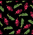 seamless pattern with tropical medinilla flowers vector image