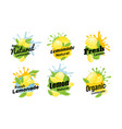 fresh lemon natural lemonade with water splash vector image