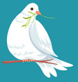 dove sitting on branch holding foliage in beak vector image vector image