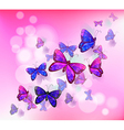 a pink stationery with group of butterflies vector image