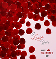 rose petals vector image vector image