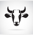 cow head design on white background wild vector image