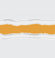 torn paper with ripped edges and soft shadow vector image vector image