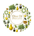 cartoon natural olive oil round concept vector image