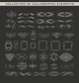 collection of calligraphic elements vector image