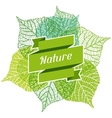 background of stylized green leaves vector image vector image