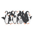 happy penguin family characters in different vector image