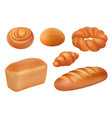 bread realistic bakery food fresh tasting vector image