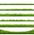 grass border big collection vector image