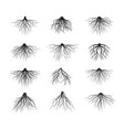set black tree roots vector image vector image