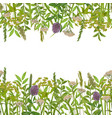 seamless double border with greenery vector image