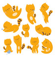 collection orange cute cat for design vector image