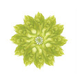abstract hop flower plant 3d icon isolated vector image