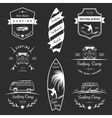 badges and logos surfing vector image