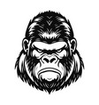 angry gorilla head black and white logo vector image vector image