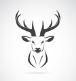 deer vector image