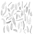 set of leaves vector image vector image