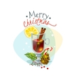 christmas mulled wine vector image