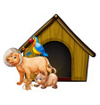 dog cage with group cartoon isolated vector image
