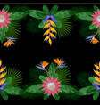 tropical double seamless border vector image vector image