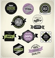 set of vintage retro labels vector image