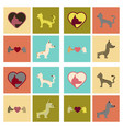assembly flat icons dogs cats pets vector image vector image