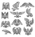 heraldic sketch gothic eagle hawk icons vector image vector image