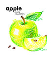 hand drawn drawing on white background fruit vector image vector image